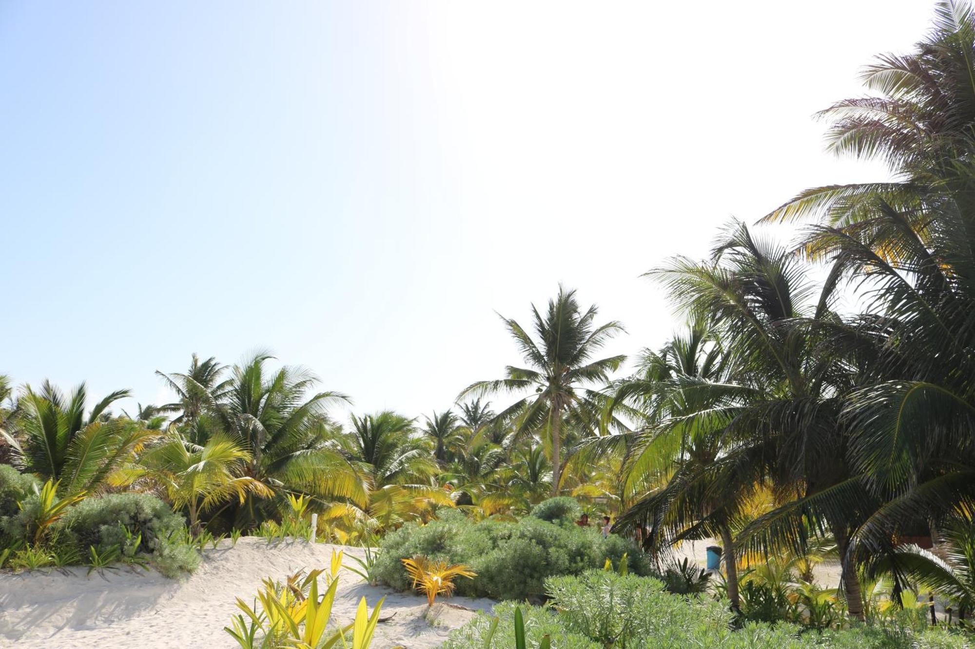 Hotel & Cabanas Zazil Kin Tulum Exterior foto